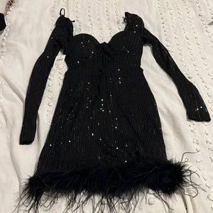 NWT Sparkle Feather Dress